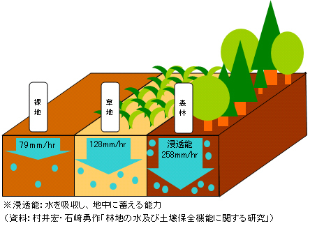 森林の多面的機能の一例のイラスト