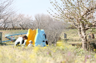 親子で公園遊び