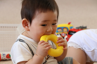 子どもの様子