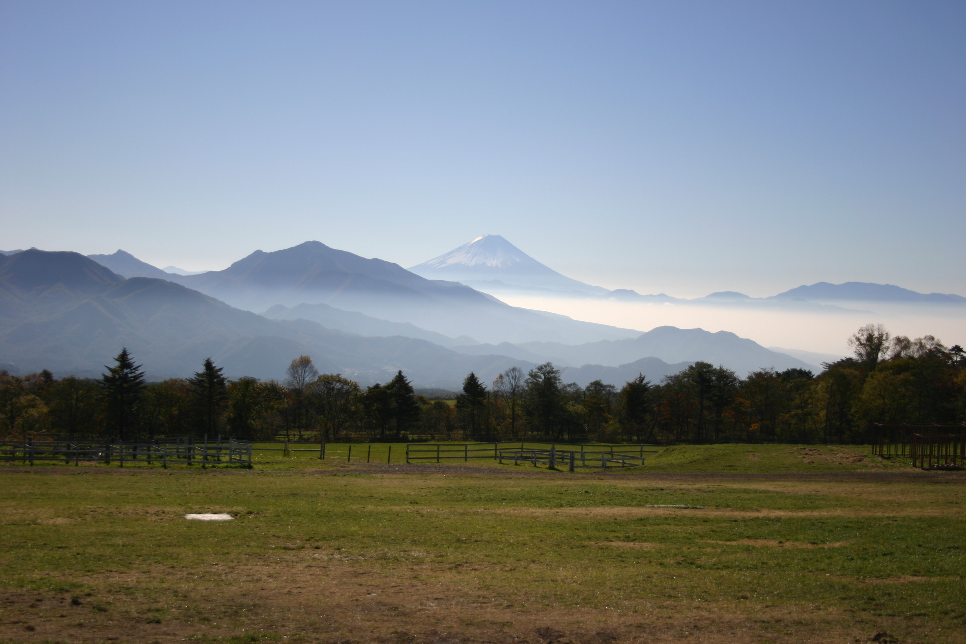 清泉寮からの富士山.jpg