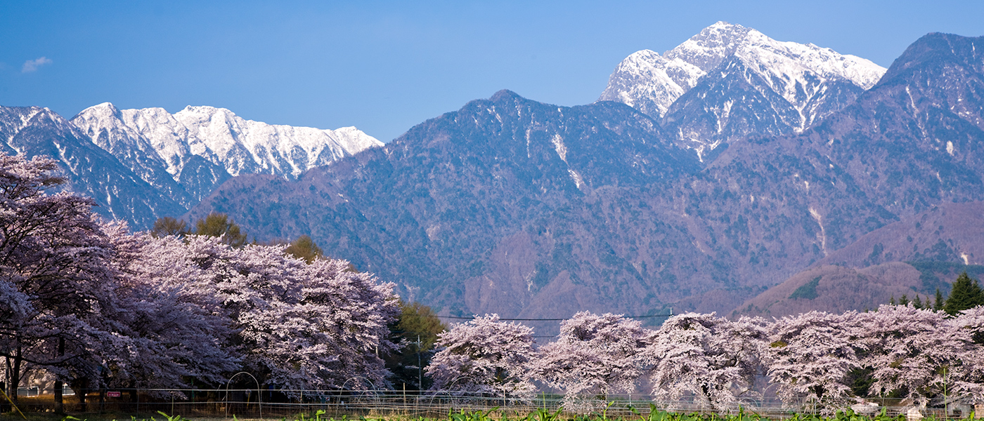 観光情報 山梨県北杜市 月見里県星見里市 公式サイト