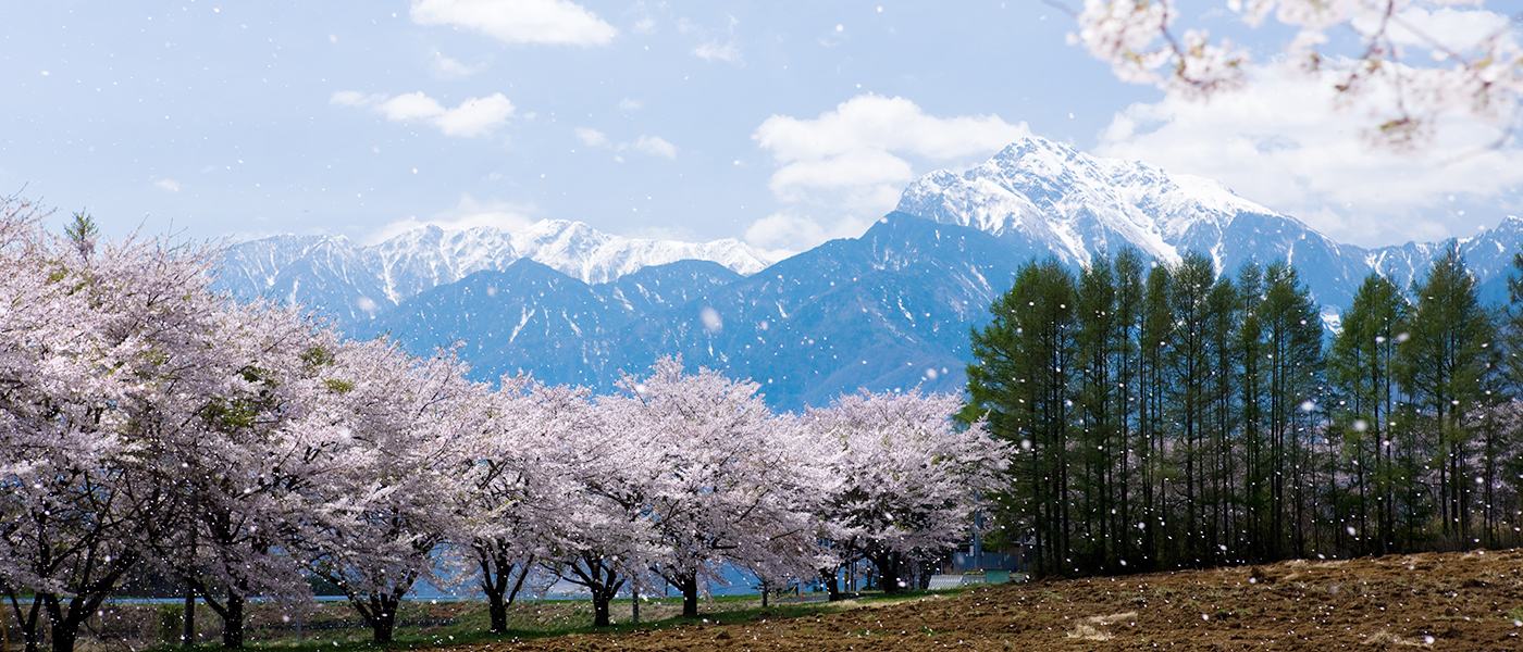 観光情報 山梨県北杜市 月見里県星見里市 公式サイト